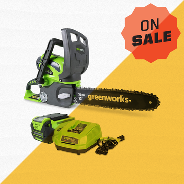 greenworks 40v 12 inch mini chainsaw