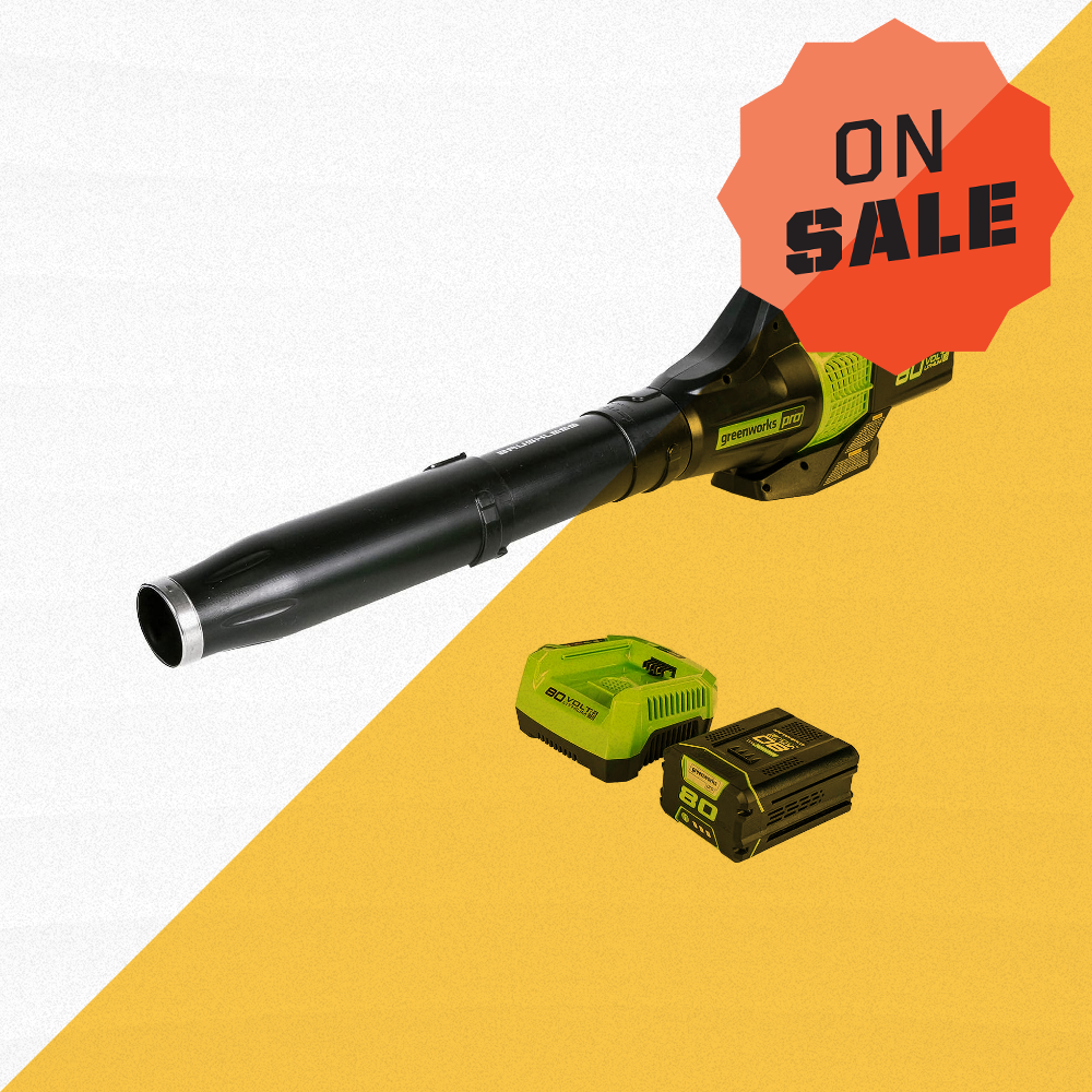 Has This Light-But-Powerful Greenworks 80V Cordless Leaf Blower for  28% Off