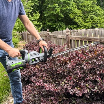 best hedge trimmers a man using a ego power+ 26 inch electric hedge trimmer on a bush
