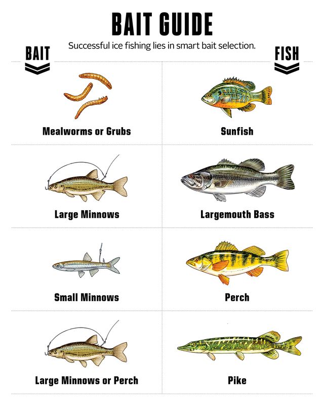Can Plastic Lures Rival Live Bait for Ice Fishing Success? - Game & Fish