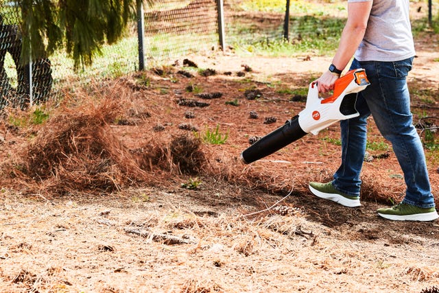 The 7 Best Leaf Blowers of 2024 - Leaf Blower Reviews