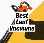 best leaf vacuums