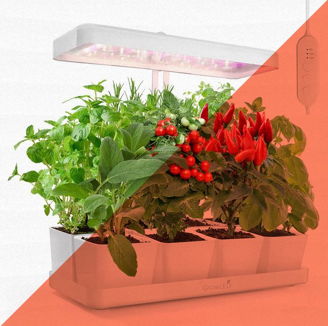 The 12 Best Grow Lights of 2024, Tested and Reviewed