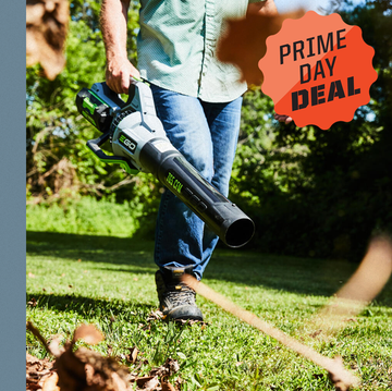 a side by side of a circular saw cutting through wood and a man using a ego leaf blower on dry leaves a side by side of a circular saw cutting through wood and a man using a ego leaf blower on dry leaves