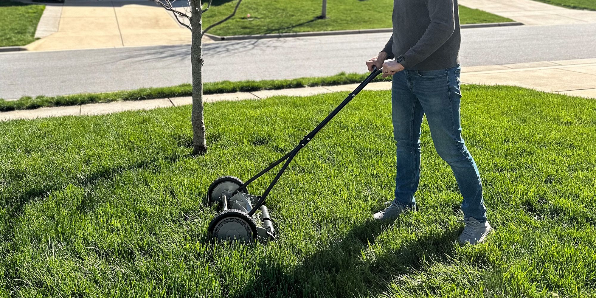 power reel lawn mower with grass catcher - Best Buy