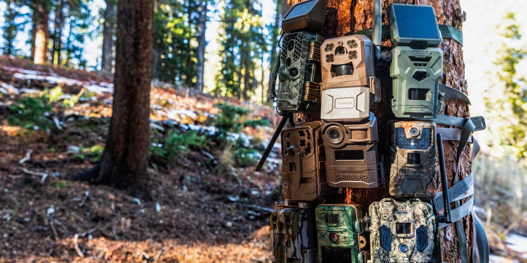 8 Best Trail Cams of 2024 - Deer Cameras for Hunting