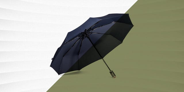 The 9 Best Umbrellas in 2023 - Best Rain Umbrellas