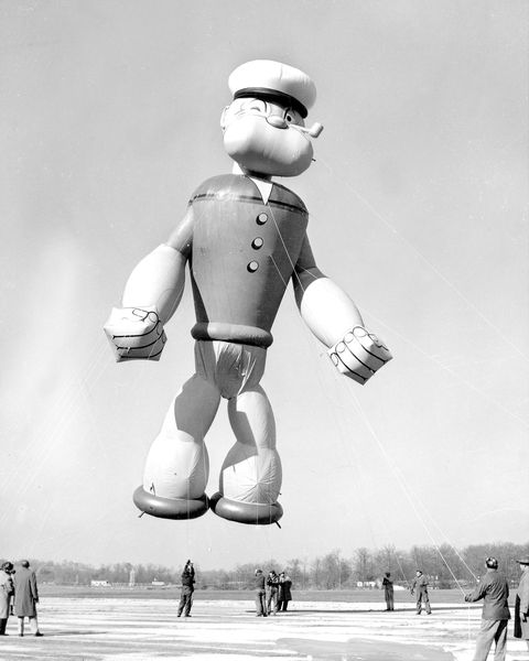 popeye, the sailor, parade balloon flexes his muscles as he gets ready to fly