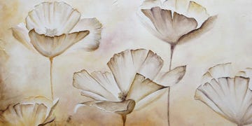 poppies