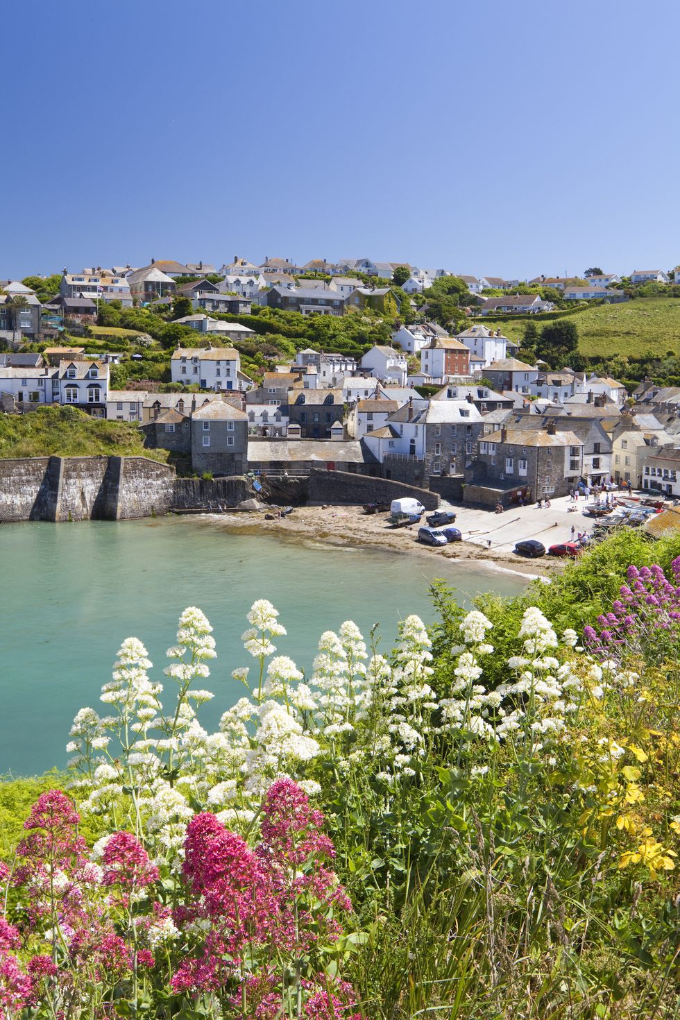 valerium on the cliffs at port isaac, cornwall, england