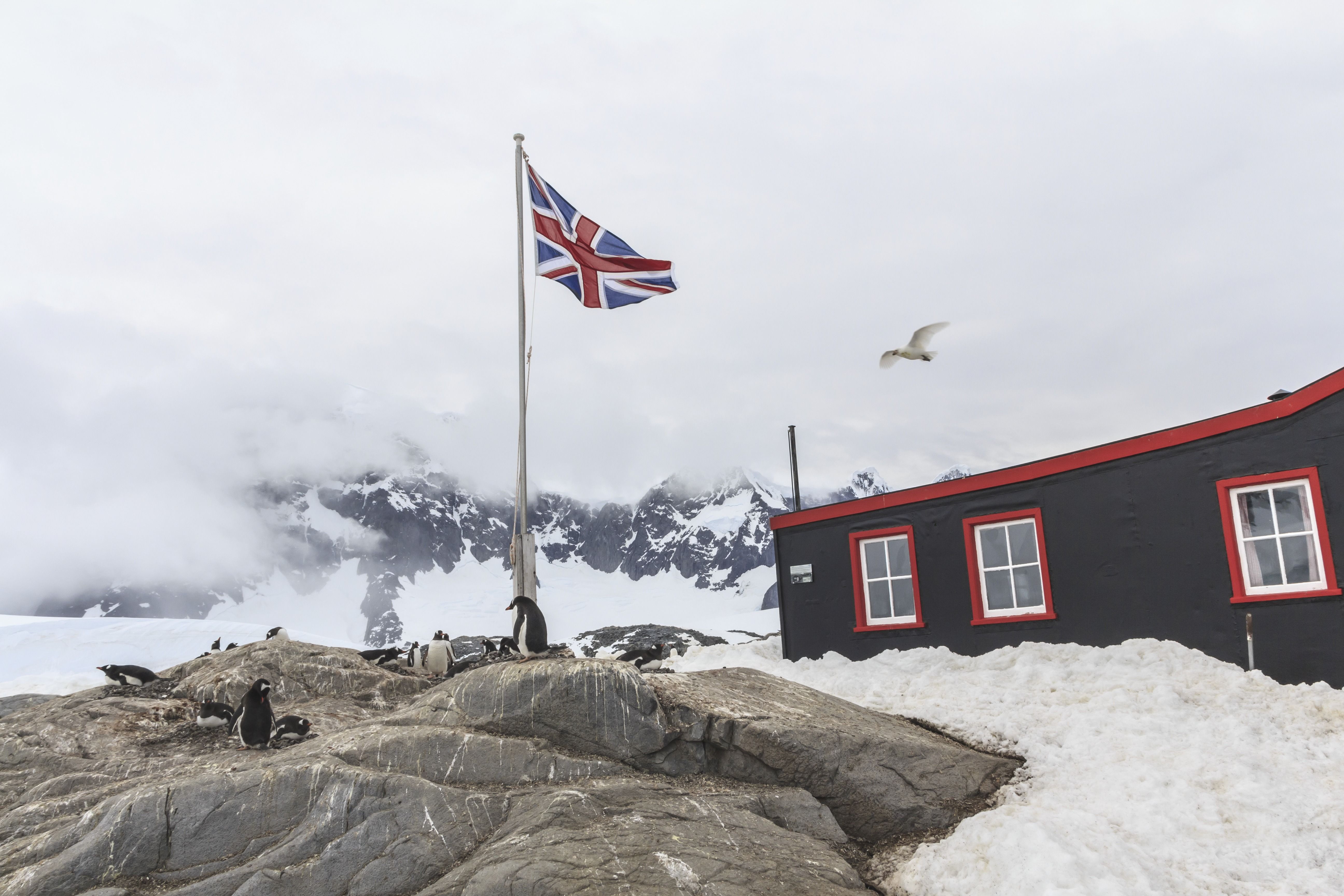 You Can Now Run The World's Most Remote Post Office in Antarctica