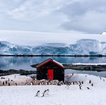 people needed to run the post office and monitor penguins in antarctica