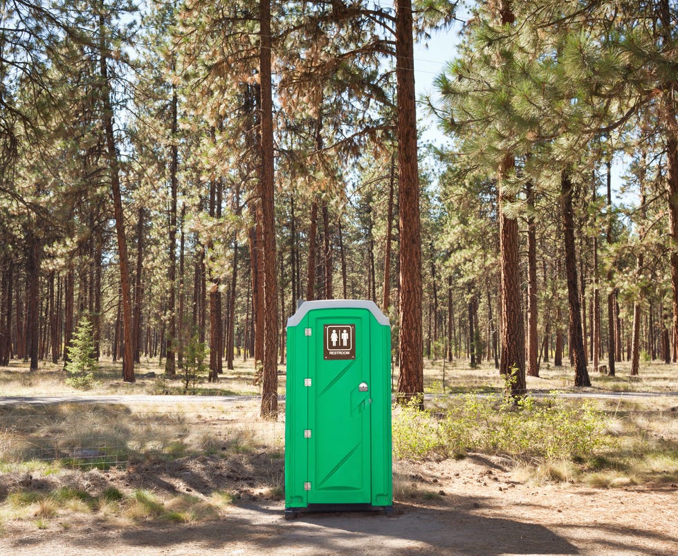 Portable toilet on edge of forest