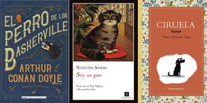 Cat, Text, Felidae, Book cover, Small to medium-sized cats, Font, Poster, Book, Black cat, Carnivore, 