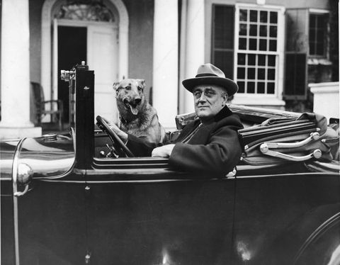 fdr behind the wheel