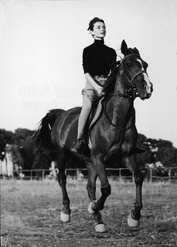 portrait of audrey hepburn