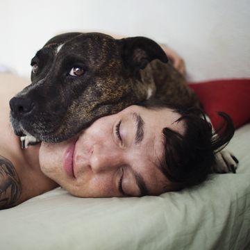 portrait of dog lying on mans face while relaxing in bedroom