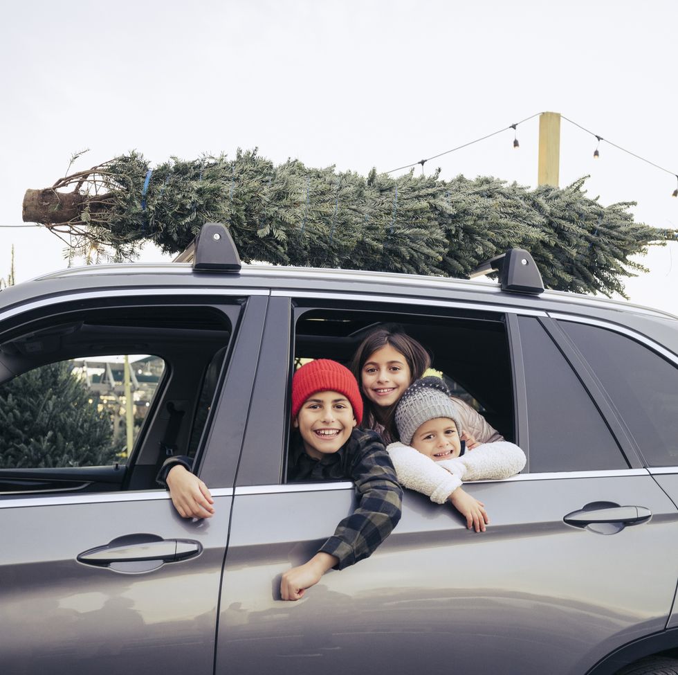 portrait of happy siblings sitting in car with christmas tree on roof