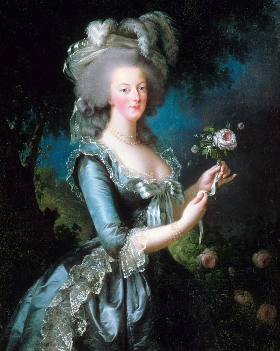 portrait of marie antoinette with the rose oil on canvas versailles dated 1783 and painted by vigee le brun