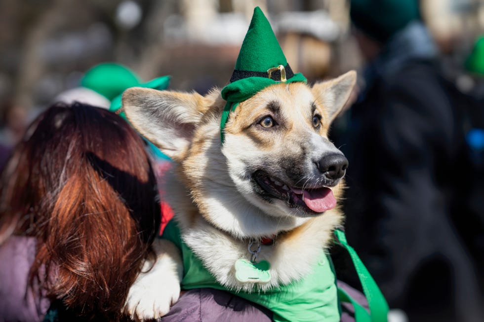 st patricks day traditions