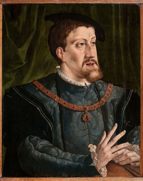 portrait of the emperor charles v