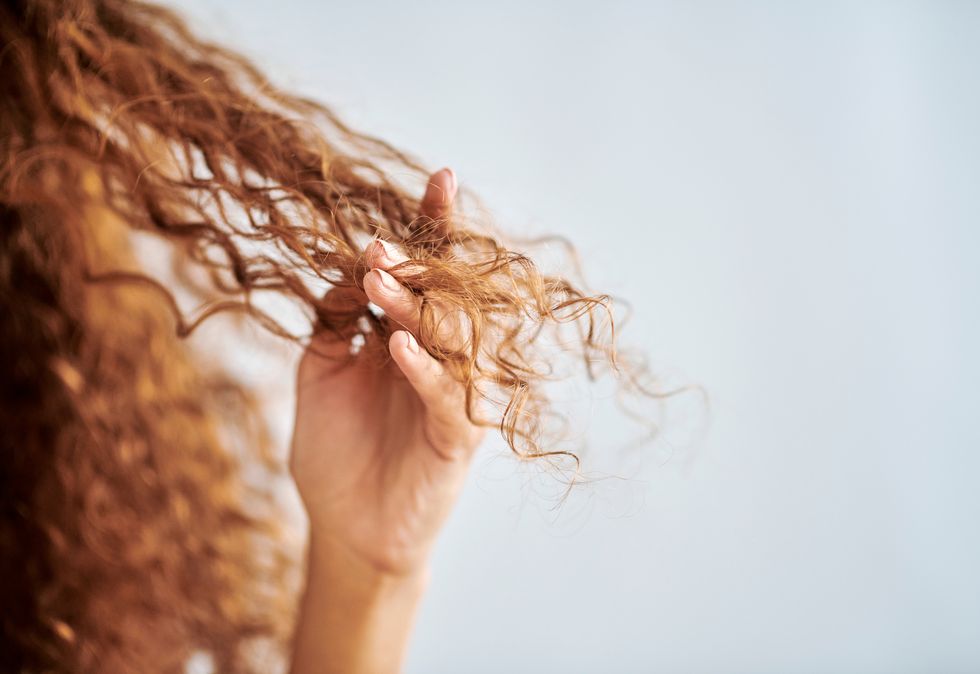 portrait of woman with natural, damaged hair and curly hair girl with fingers in tips to show damage from hair treatment, split ends and dry hair hair products, care and repair for healthy hair