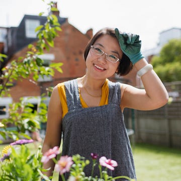 Portrait smiling woman gardening in sunny yard