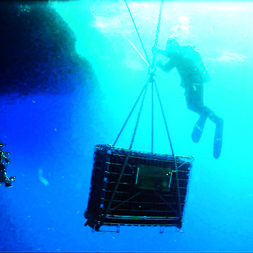 un subacqueo durante un'immersione