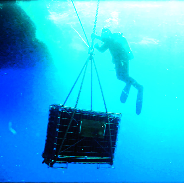 un subacqueo durante un'immersione