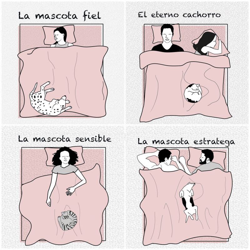 15 Posiciones Para Dormir en Pareja: Significado