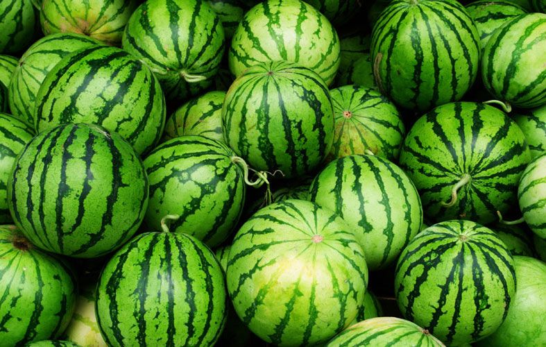 watermelon