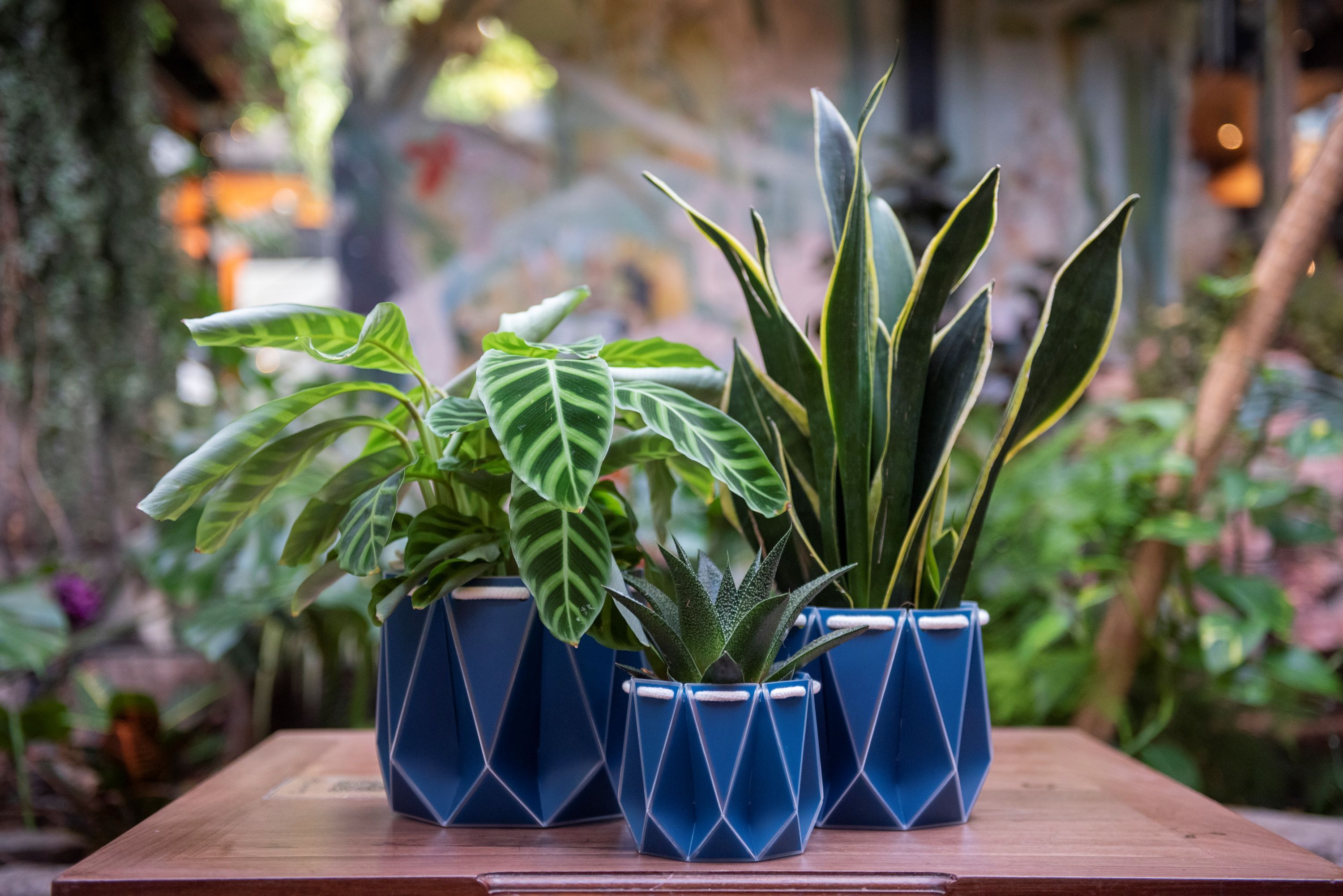7 Sustainable Planters & Eco-Friendly Plant Pots For Your Home - The Good  Trade