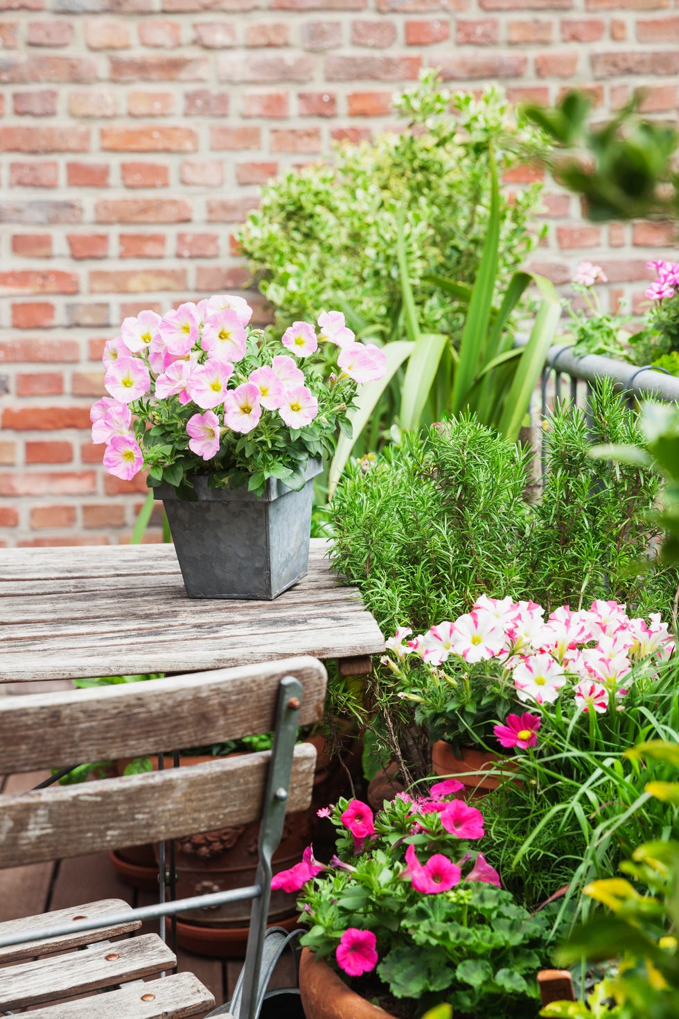 un jardín lleno de plantas y flores