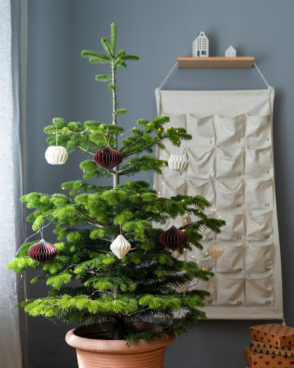 decorated potted christmas tree on wooden crate with gifts and advent calendar at home
