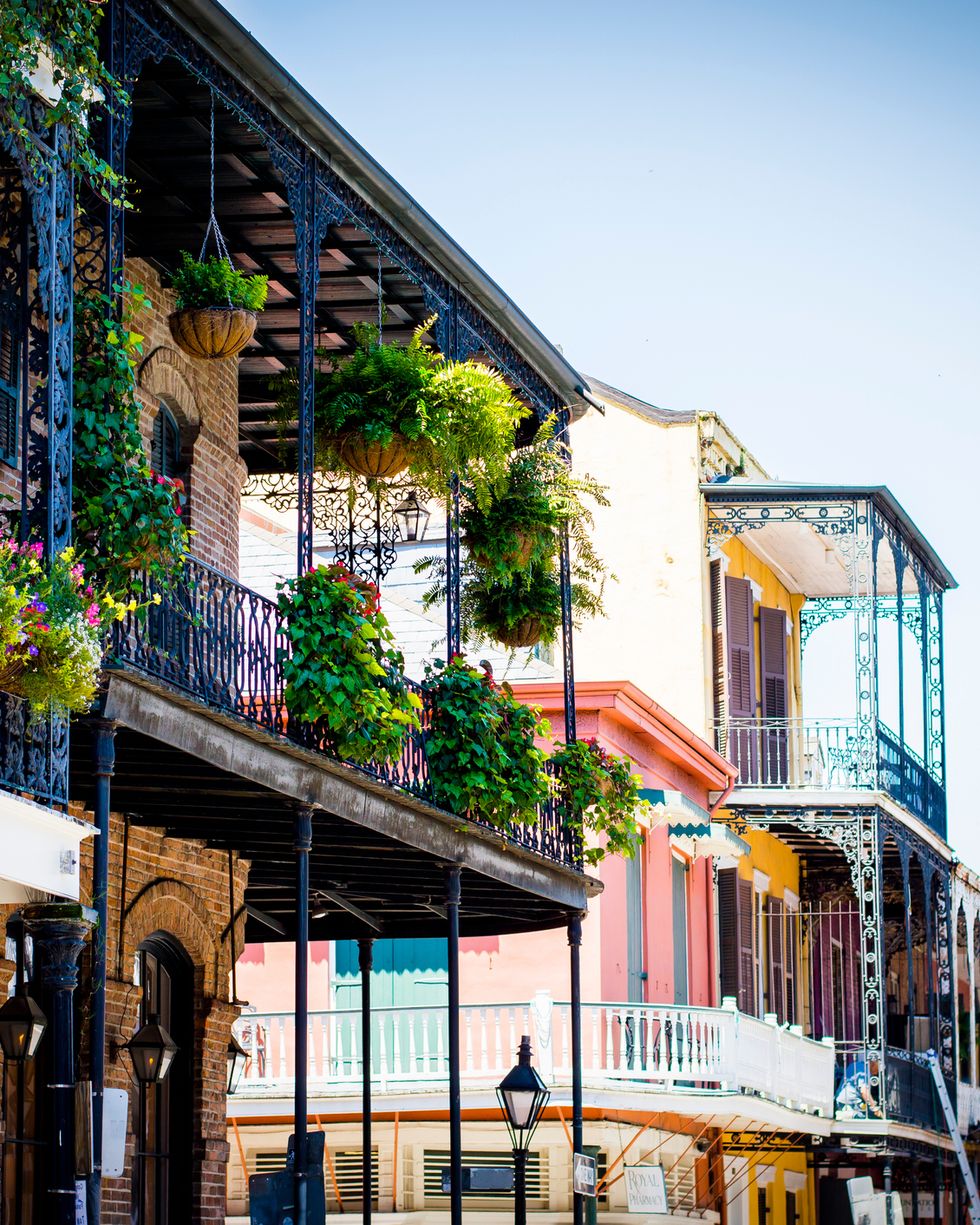 potted plants in balcony of building at french quarter