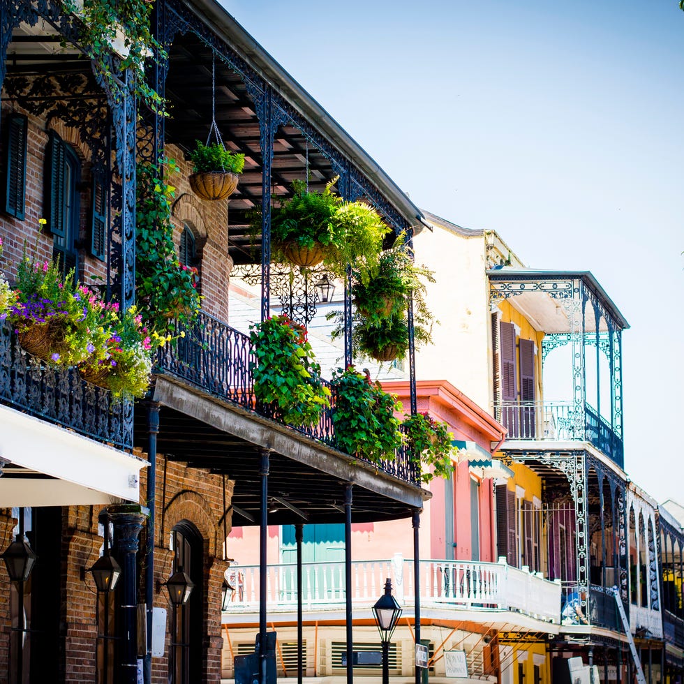 Potted Plants In Balcony Of Building At French Quarter potted plants in balcony of building at french quarter