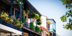 potted plants in balcony of building at french quarter