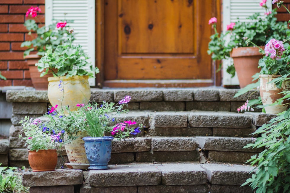 small garden ideas — stair plants