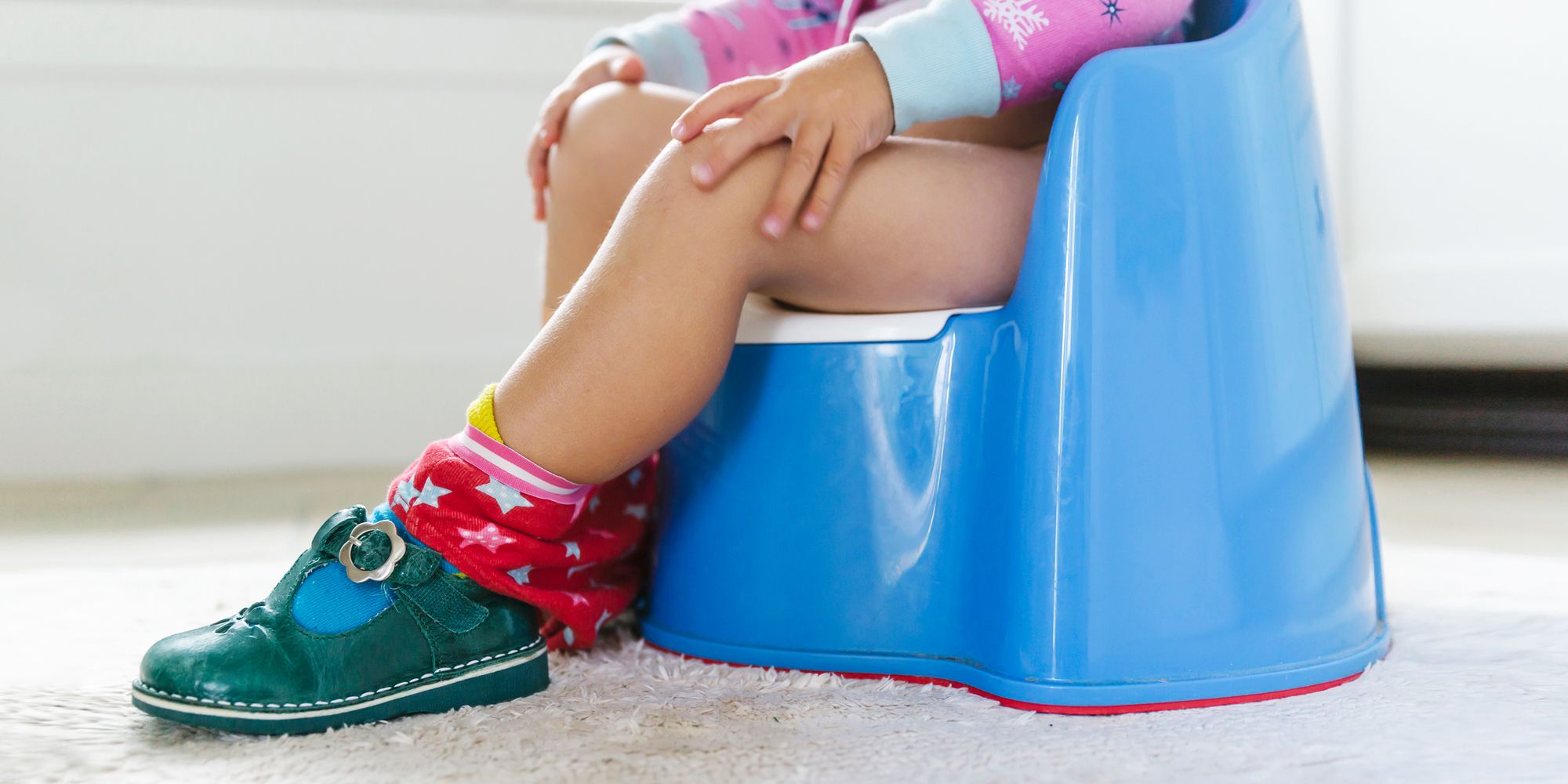 Reusable Toddler Daytime Training Pant 2 Pack  Modibodi UK