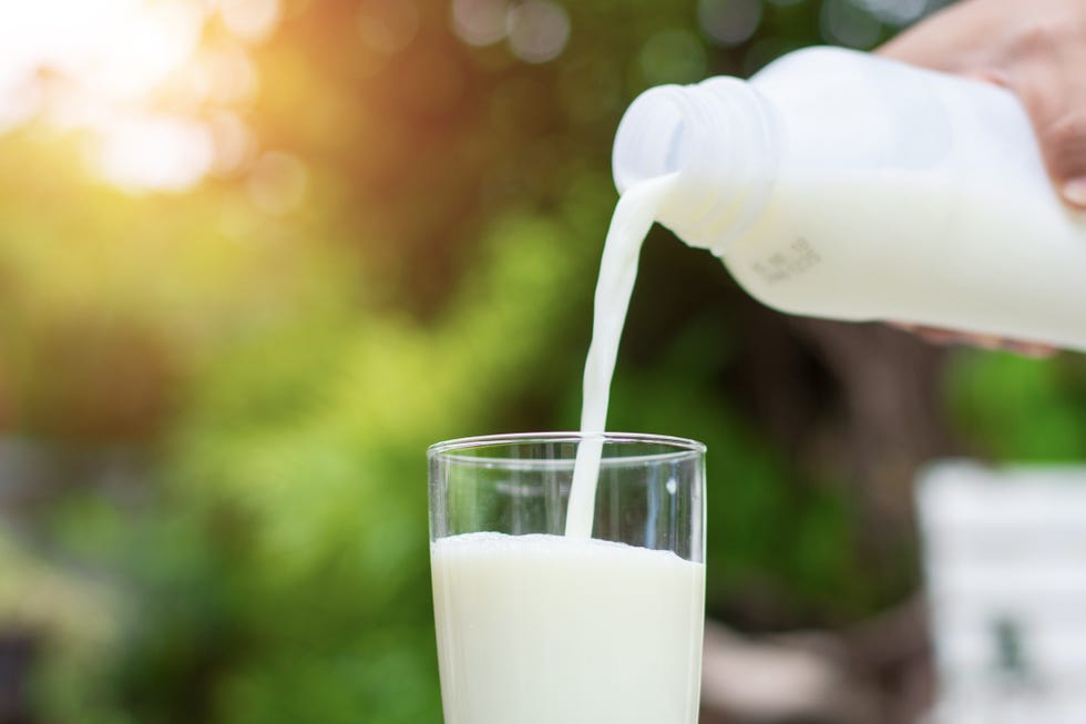 Pouring milk in the glass on the background of nature.