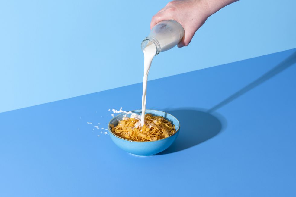 pouring milk into a bowl with cornflakes cereals cereals and milk isolated on a blue background
