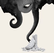 This is an image elephant columns gop women