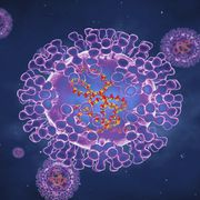 monkeypox viruses illustration in purple with a blue background