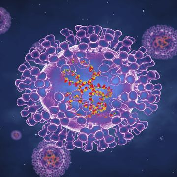 pox viruses, illustration