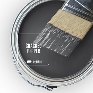 behr 2024 color of the year cracked pepper