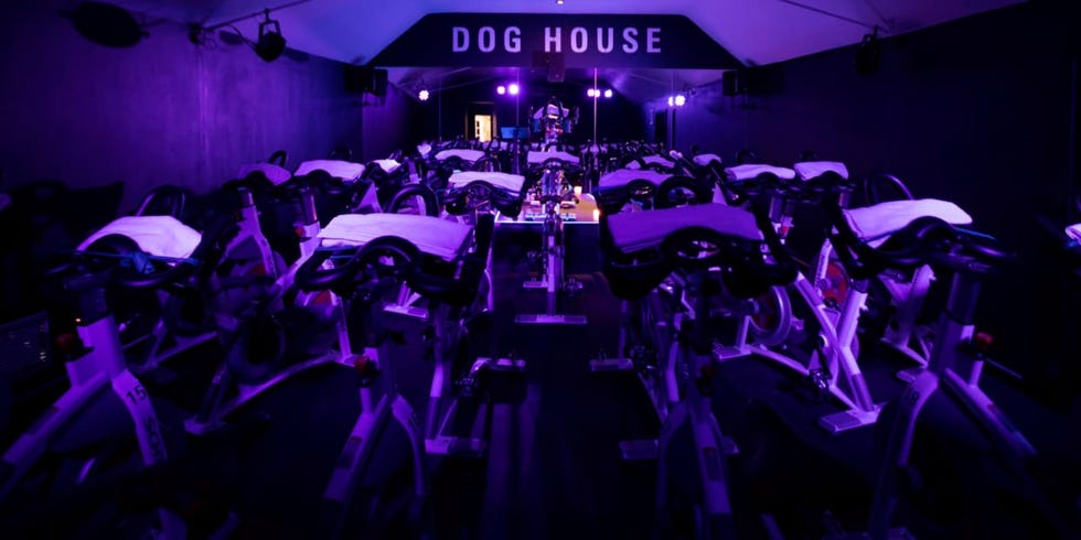 Dog-house-spin-balham