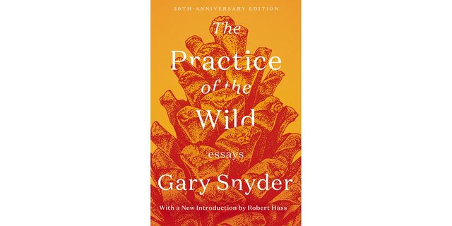 practice of the wild, gary snyder