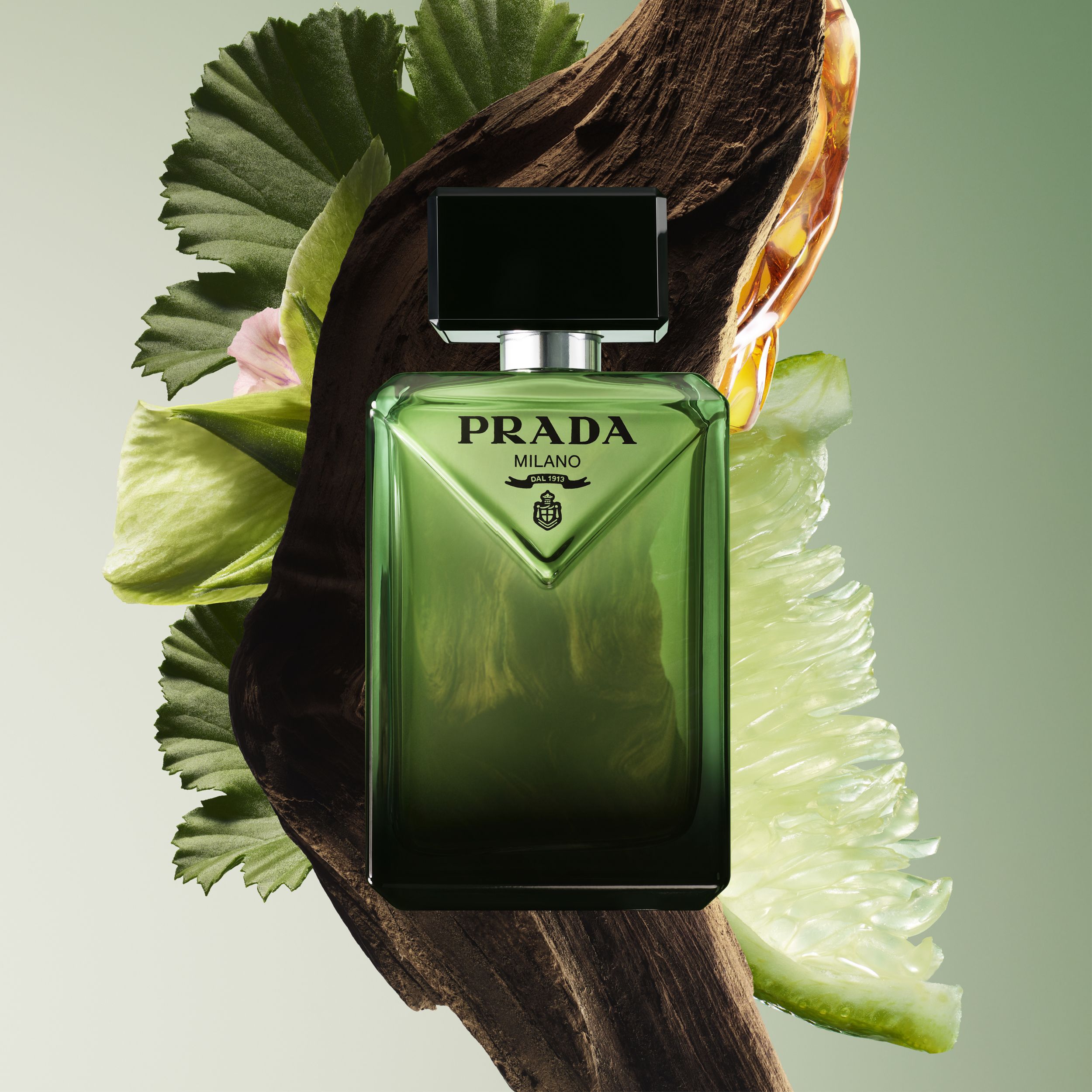 【PRADA】香水　こーひぃ。 プラダの香水のおすすめ人気ランキング【2025年】 | マイベスト