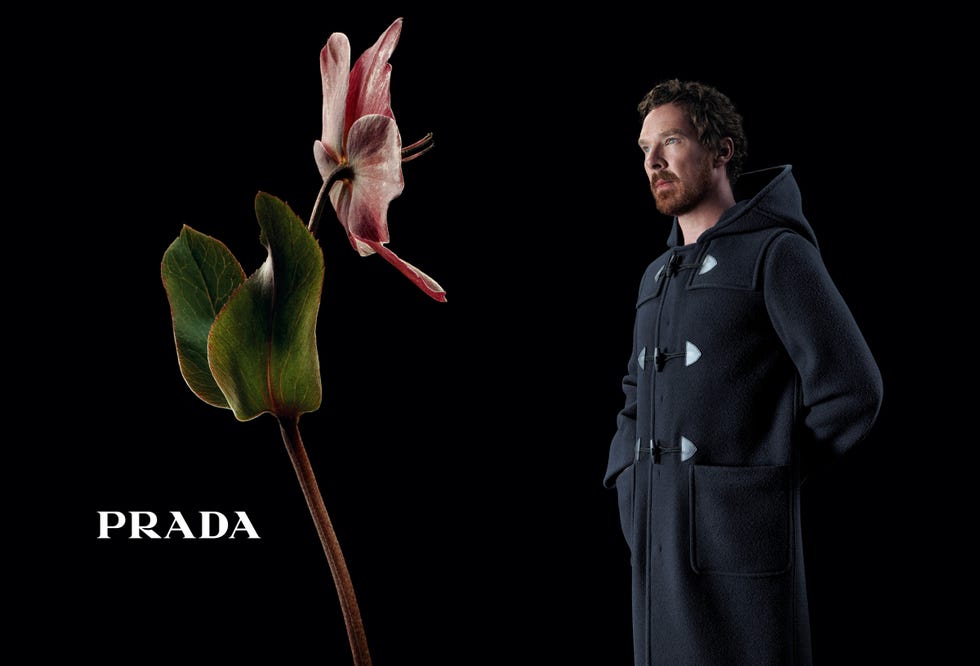 prada benedict cumberbatch