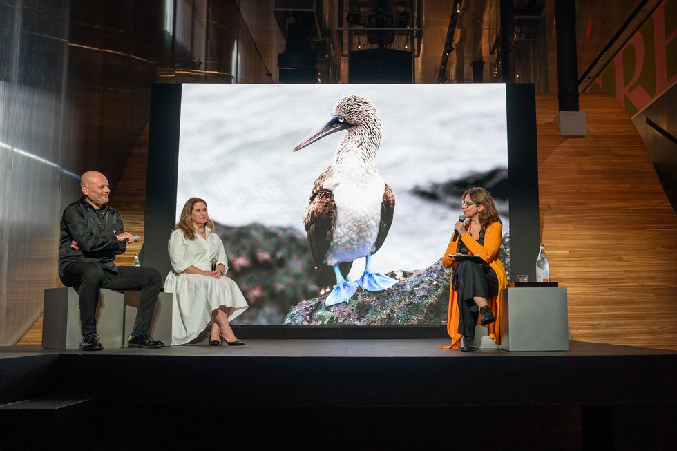 a group of people sitting on a stage with a large bird